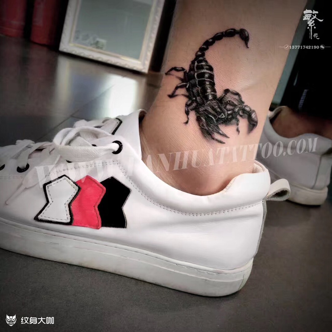 蝎子_纹身图案手稿图片_lich的纹身作品集