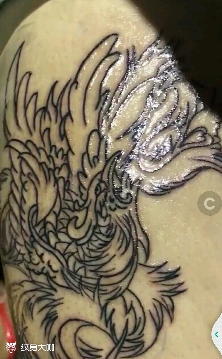 凤凰_纹身图案手稿图片_符永恒的纹身作品集