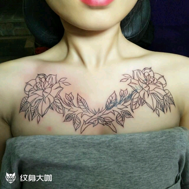 覆盖小图花胸线条完成彩色下次