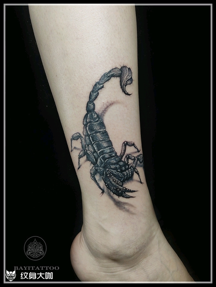 写实蝎子遮盖_纹身图案手稿图片_巴依的纹身作品集