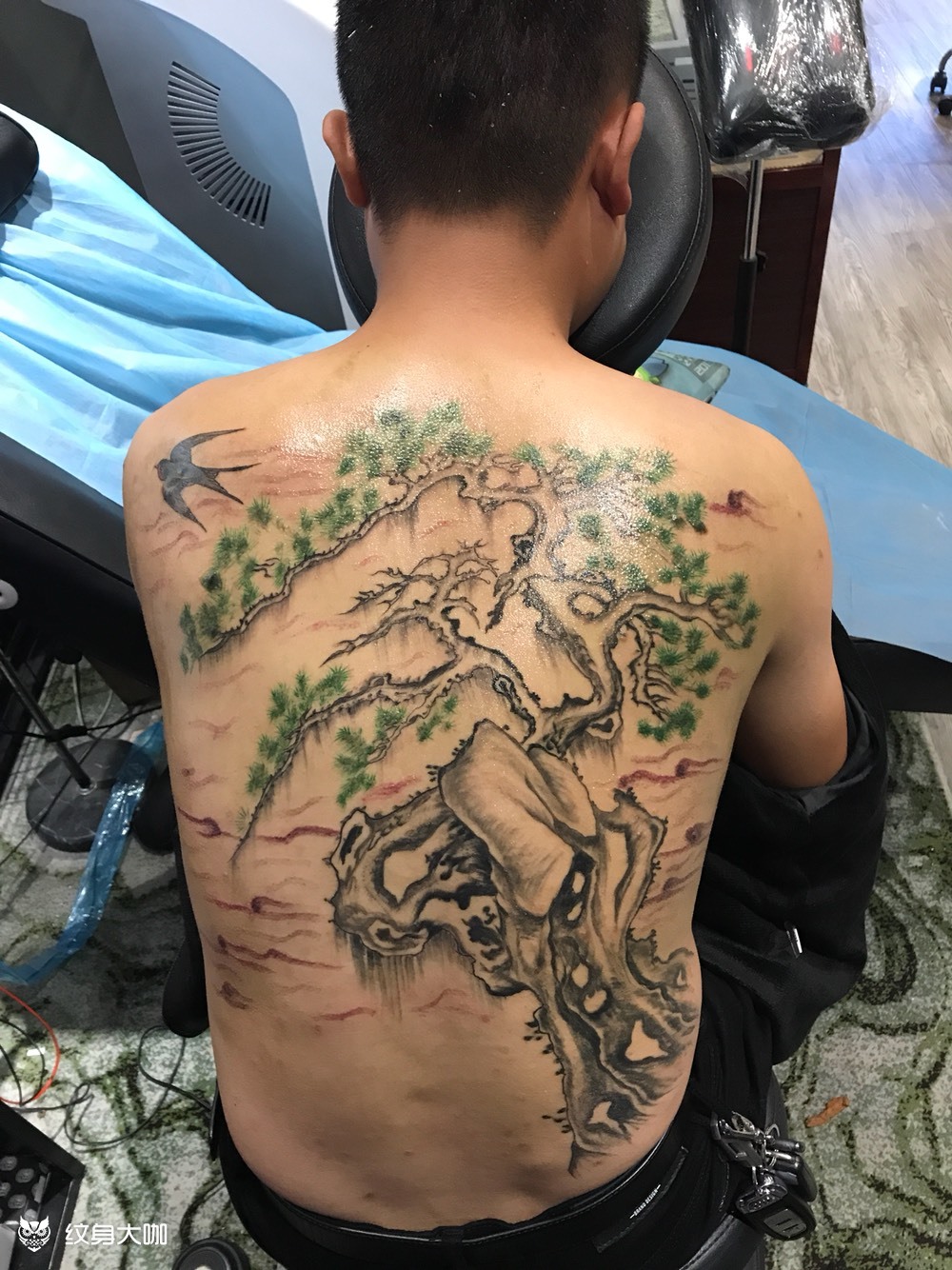 中国风 迎客松_纹身图案手稿图片_王环的纹身作品集