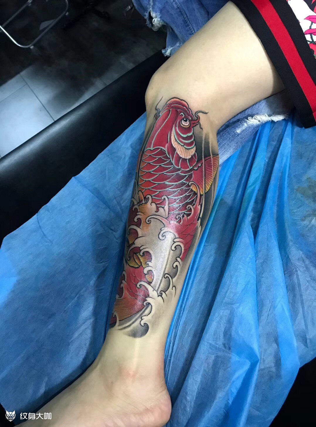 小腿彩色鲤鱼_纹身图案手稿图片_沛儿的纹身作品集