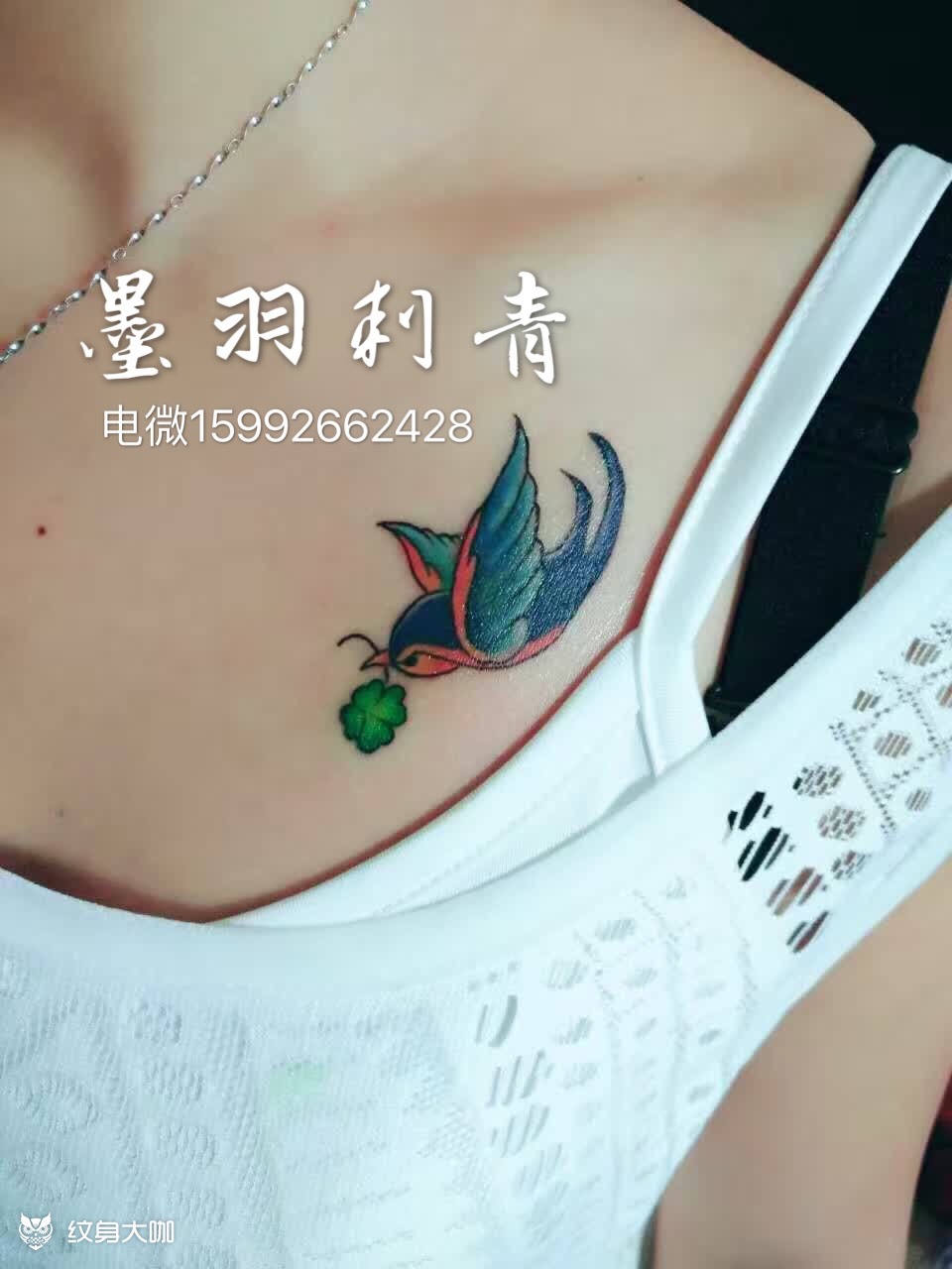 胸口彩色燕子_纹身图案手稿图片_王启发的纹身作品集