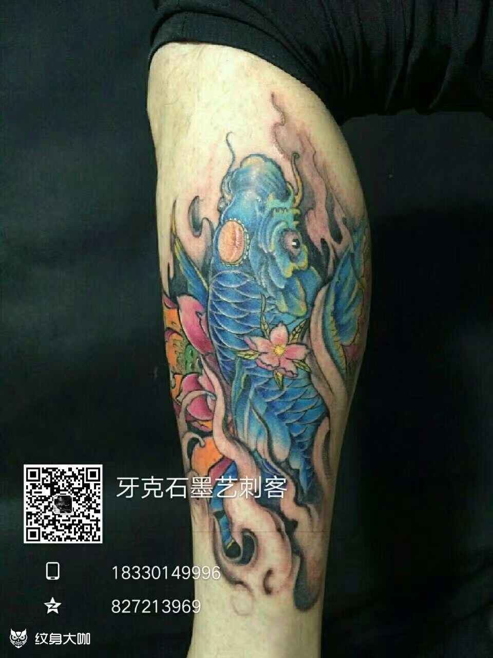 小腿彩色鲤鱼_纹身图案手稿图片_赵鑫明的纹身作品集