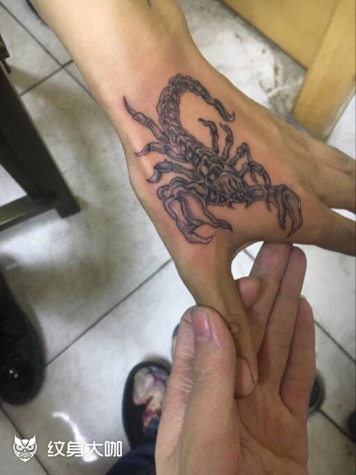 虎口蝎_纹身图案手稿图片_张寒的纹身作品集