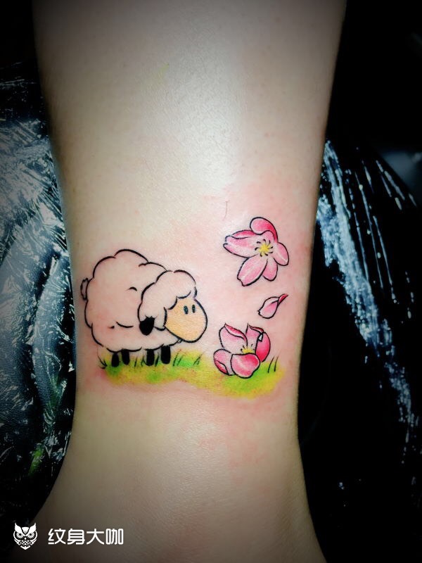 小绵羊_纹身图案手稿图片_青木的纹身作品集