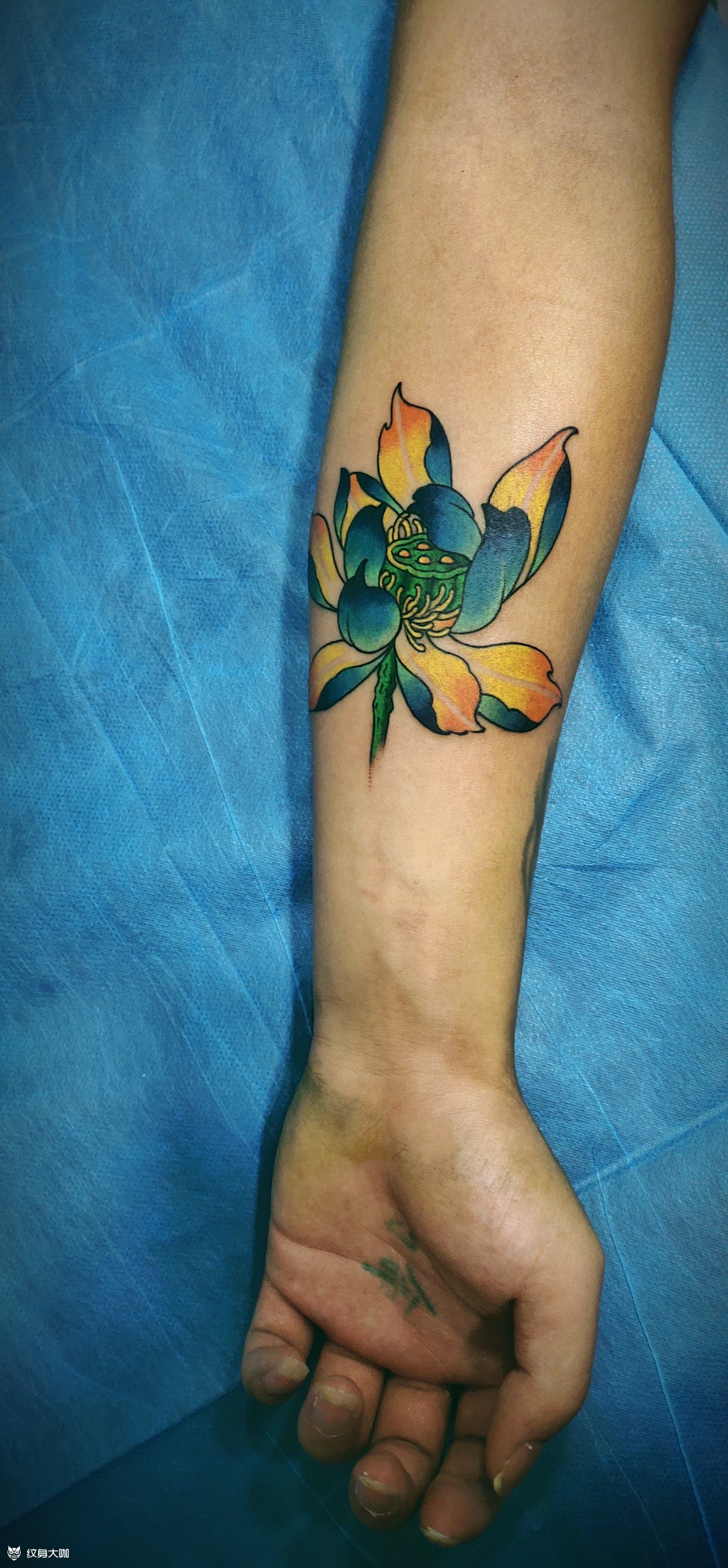 小臂莲花_纹身图案手稿图片_阿彪的纹身作品集