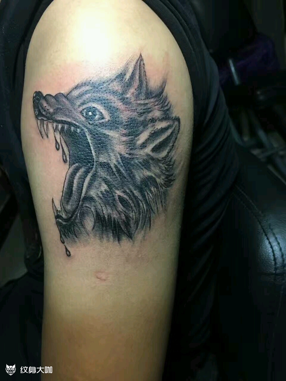 狼头_纹身图案手稿图片_杨建文的纹身作品集