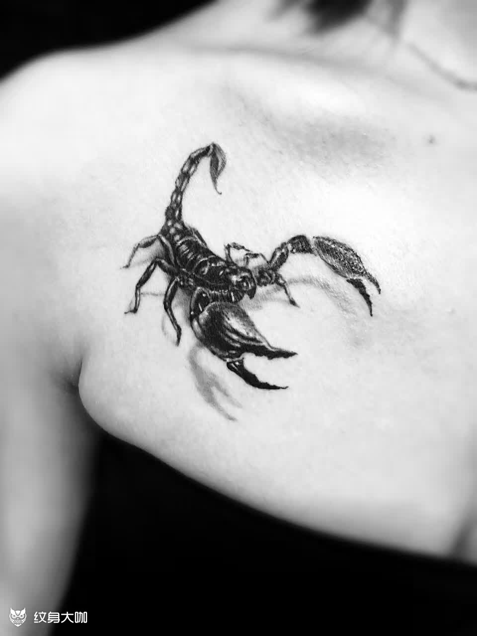 女人纹身蝎子的含义图片