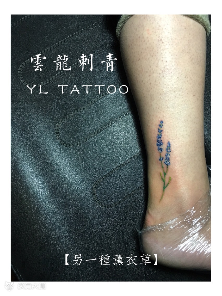 薰衣草_纹身图案手稿图片_马云龙的纹身作品集
