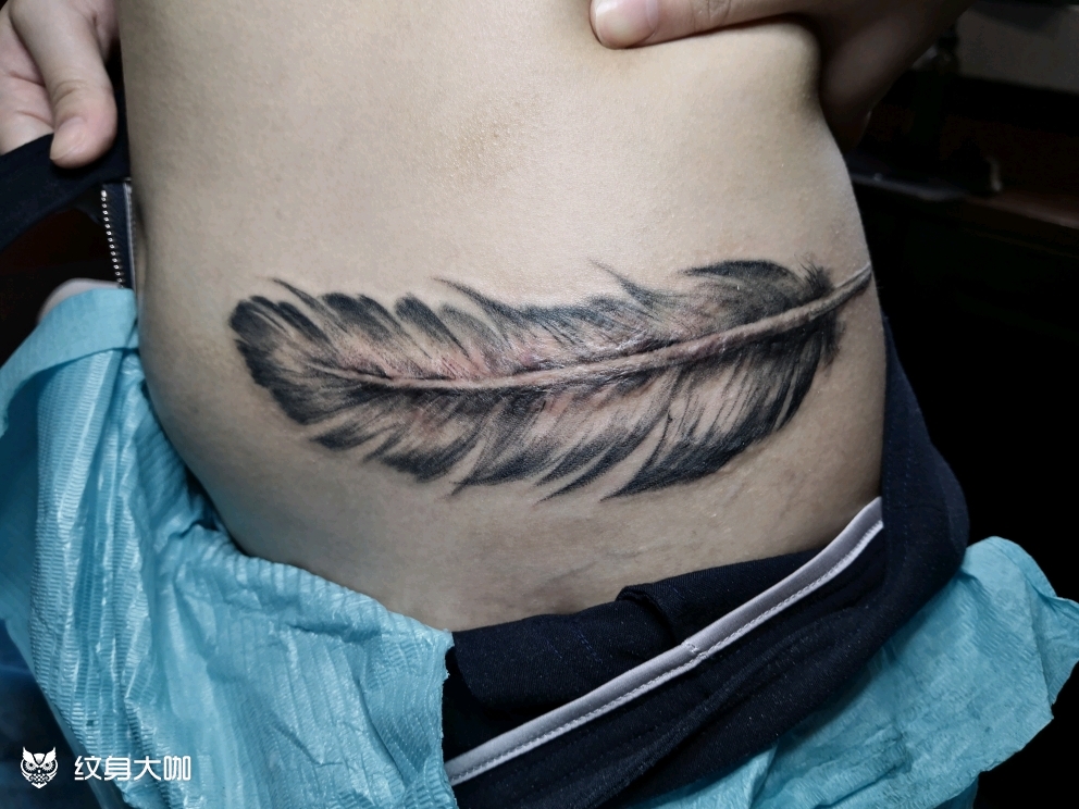 羽毛(遮盖伤疤)_纹身图案手稿图片_大荒的纹身作品集