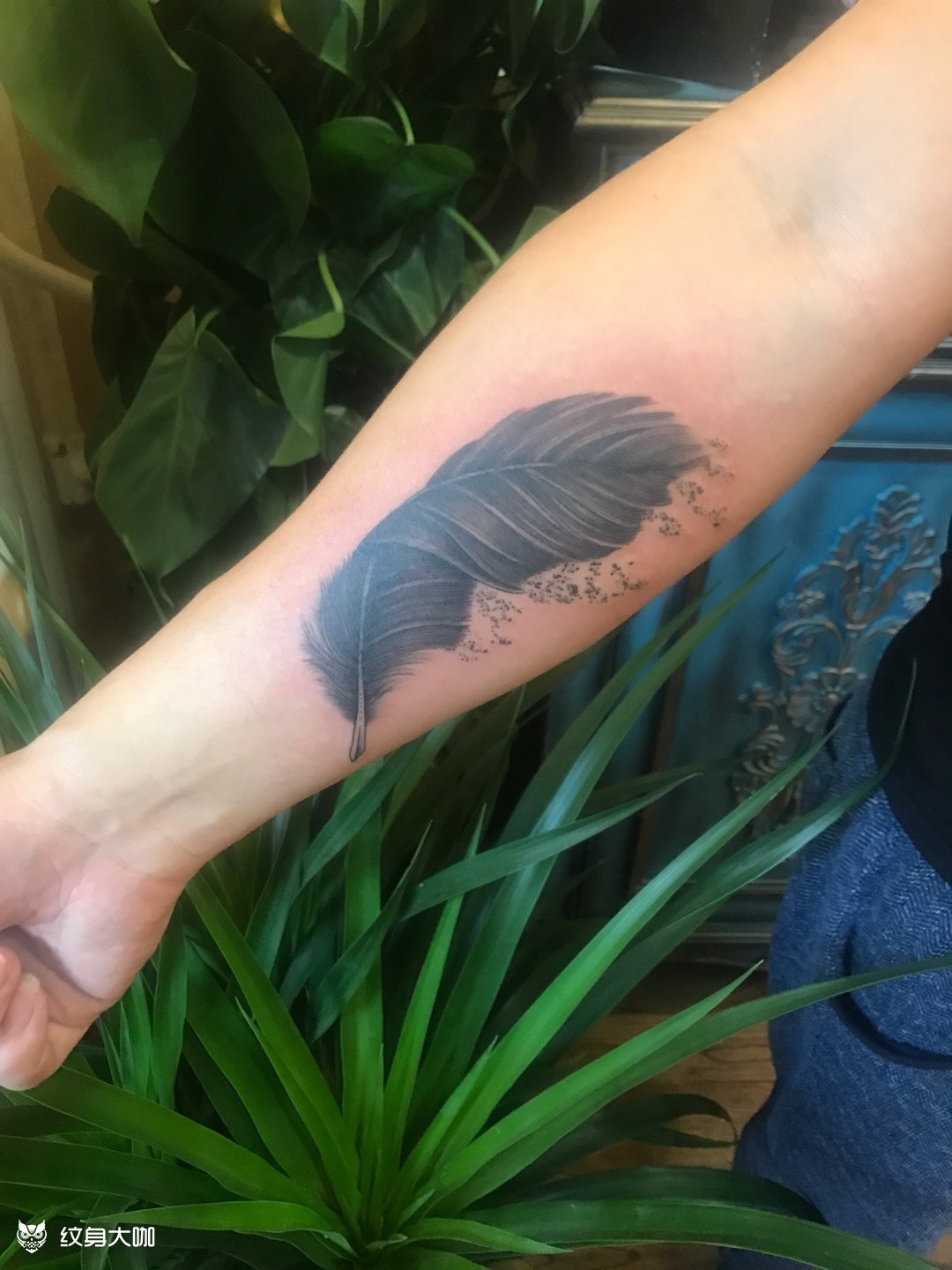 羽毛_纹身图案手稿图片_袁利的纹身作品集