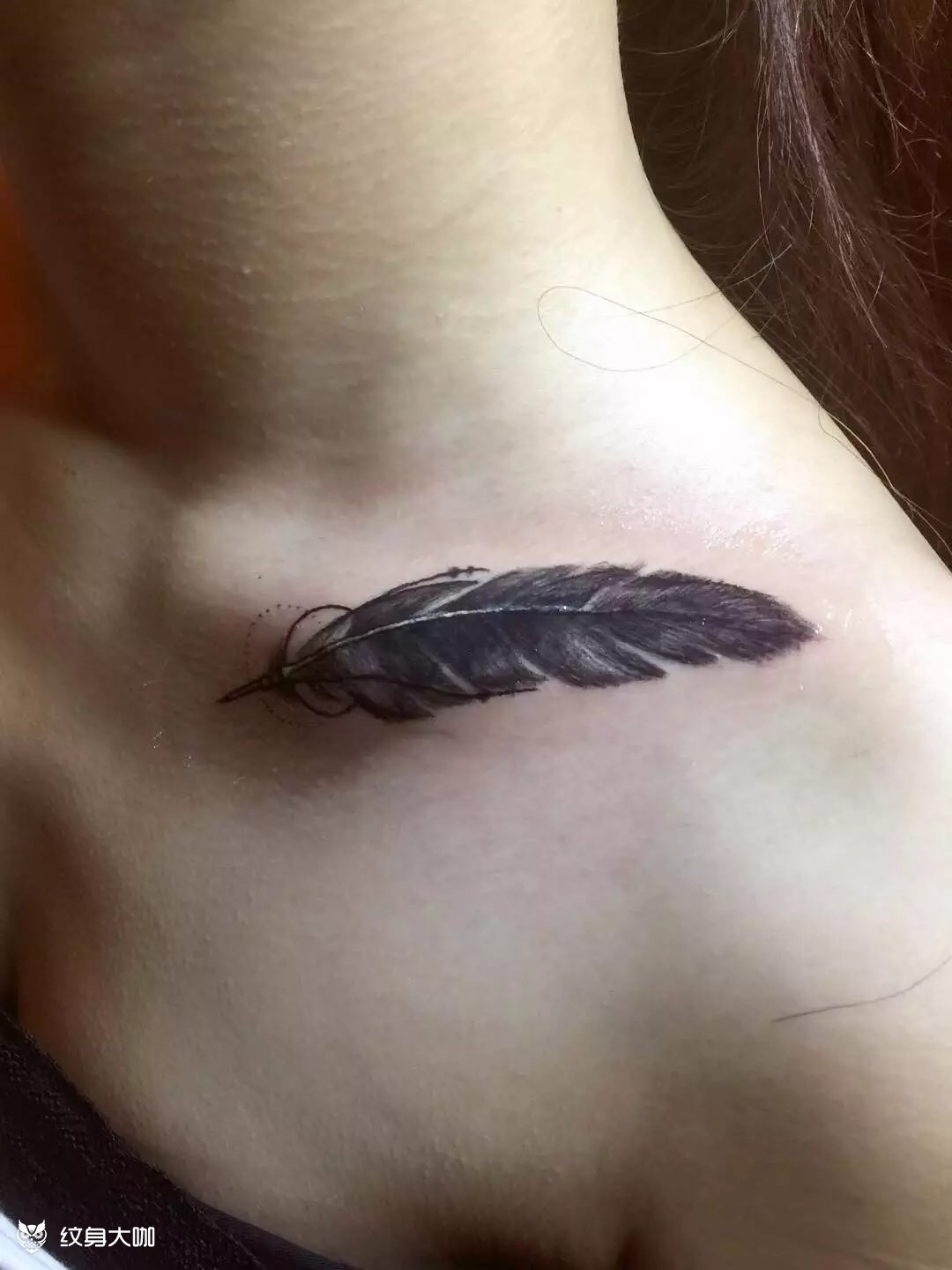 锁骨羽毛遮盖汉字