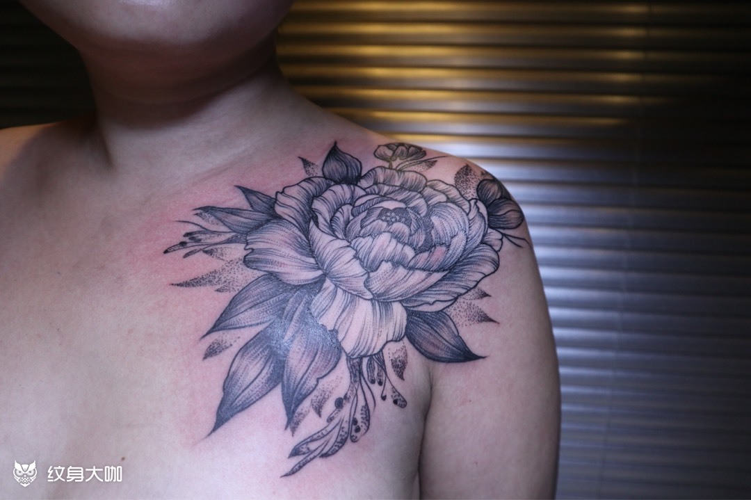 牡丹花_纹身图案手稿图片_晓昱的纹身作品集