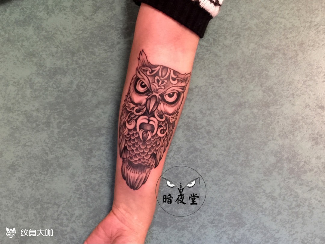 猫头鹰_纹身图案手稿图片_朱李的纹身作品集