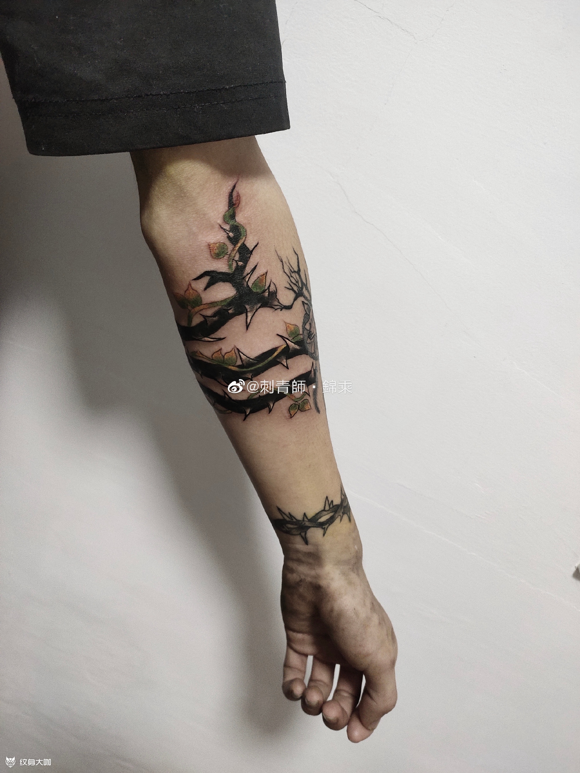 荆棘藤蔓_纹身图案手稿图片_锦乘的纹身作品集