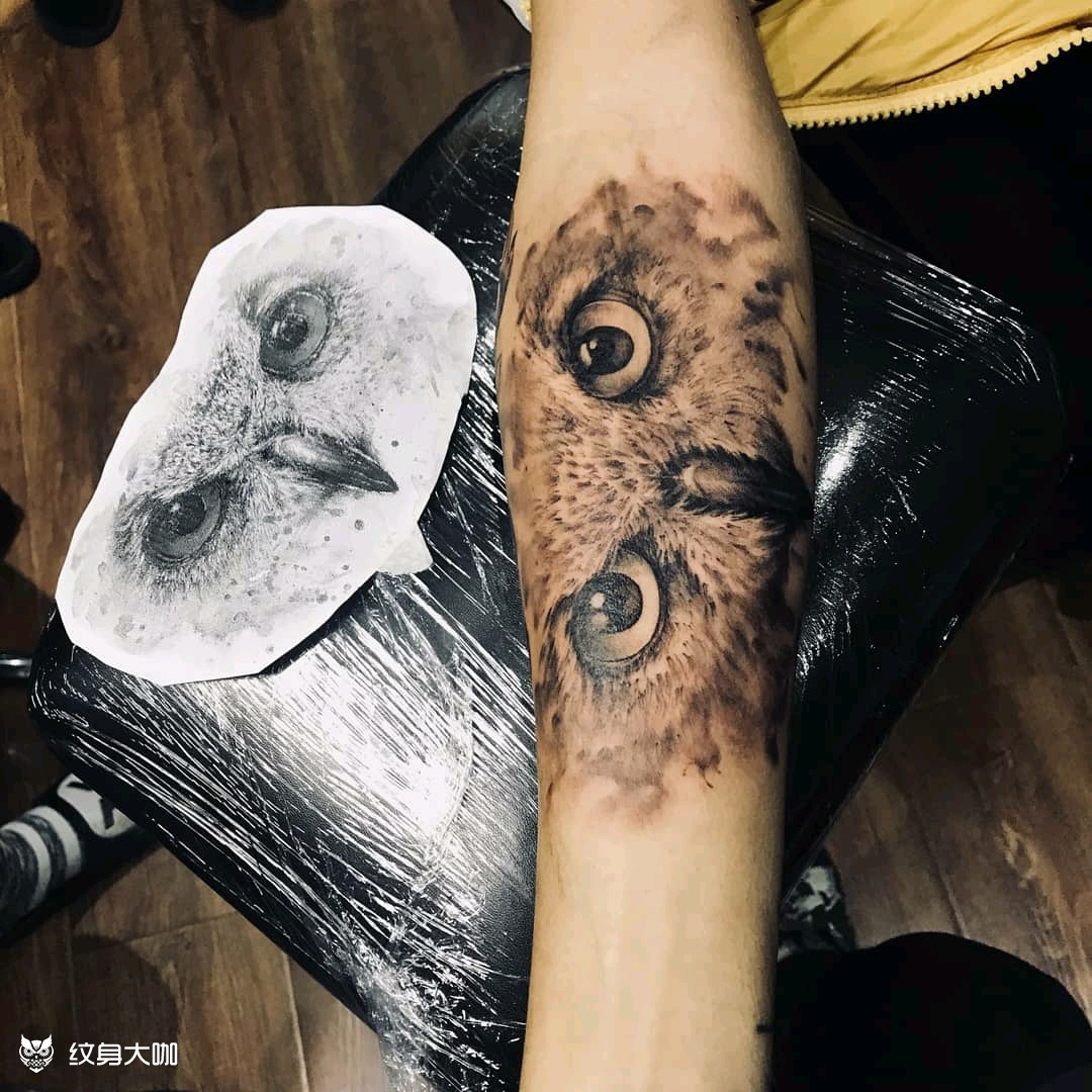 鹰眼_纹身图案手稿图片_大柳的纹身作品集