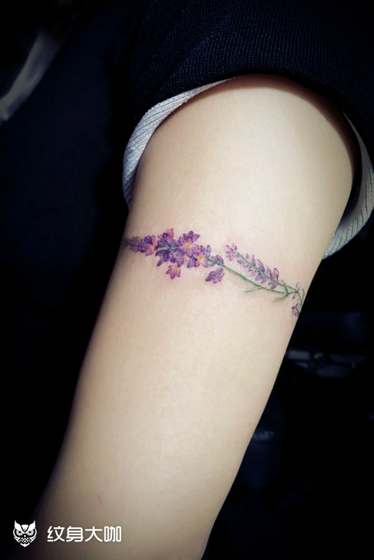 薰衣草臂环_纹身图案手稿图片_安一白的纹身作品集