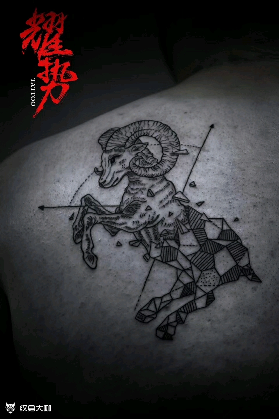 几何白羊_纹身图案手稿图片_飞霏的纹身作品集