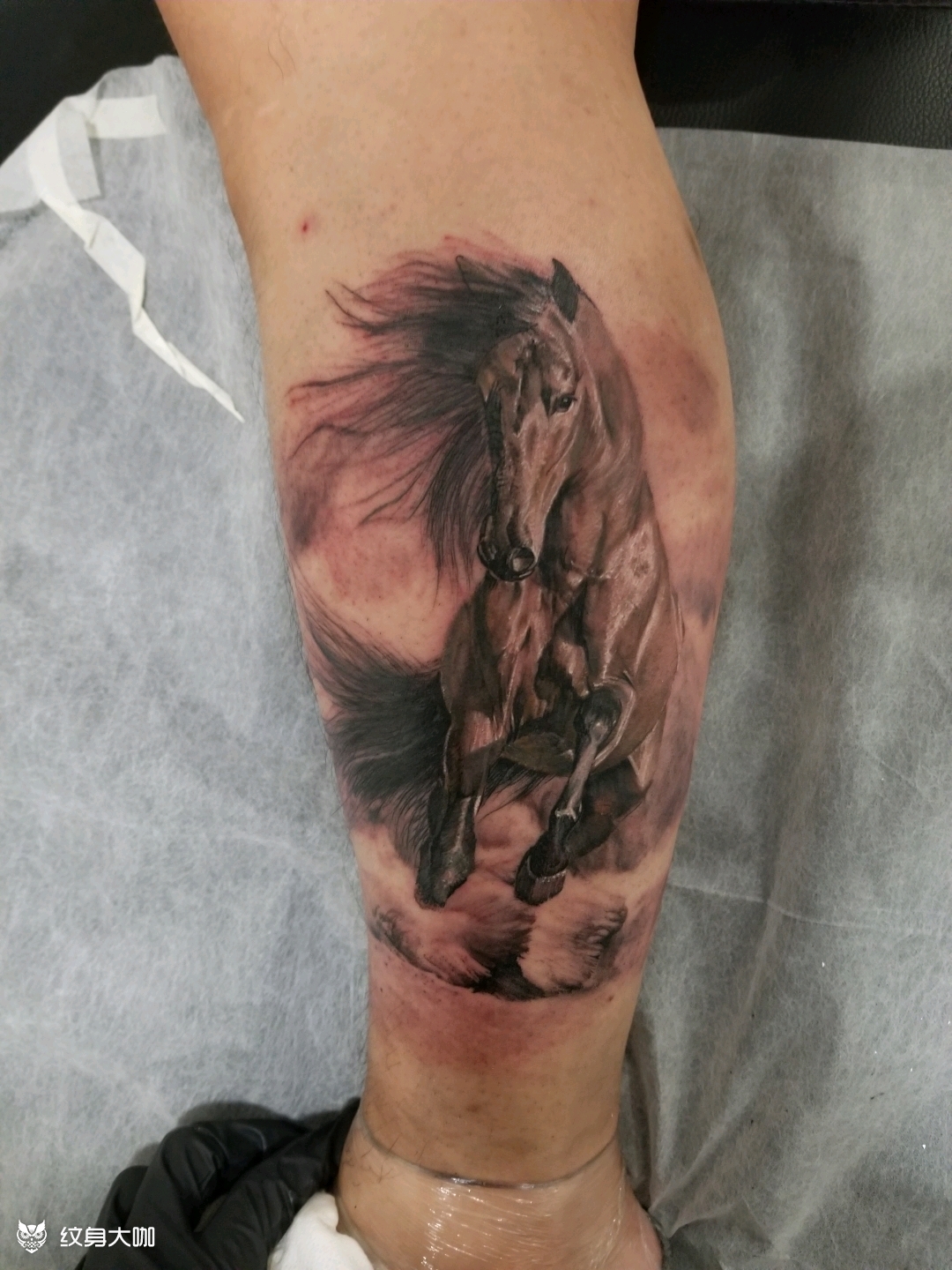 马_纹身图案手稿图片_徐涛的纹身作品集