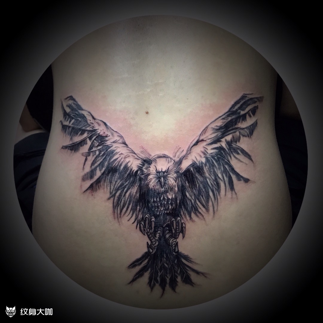 鹰_纹身图案手稿图片_周添鹤的纹身作品集