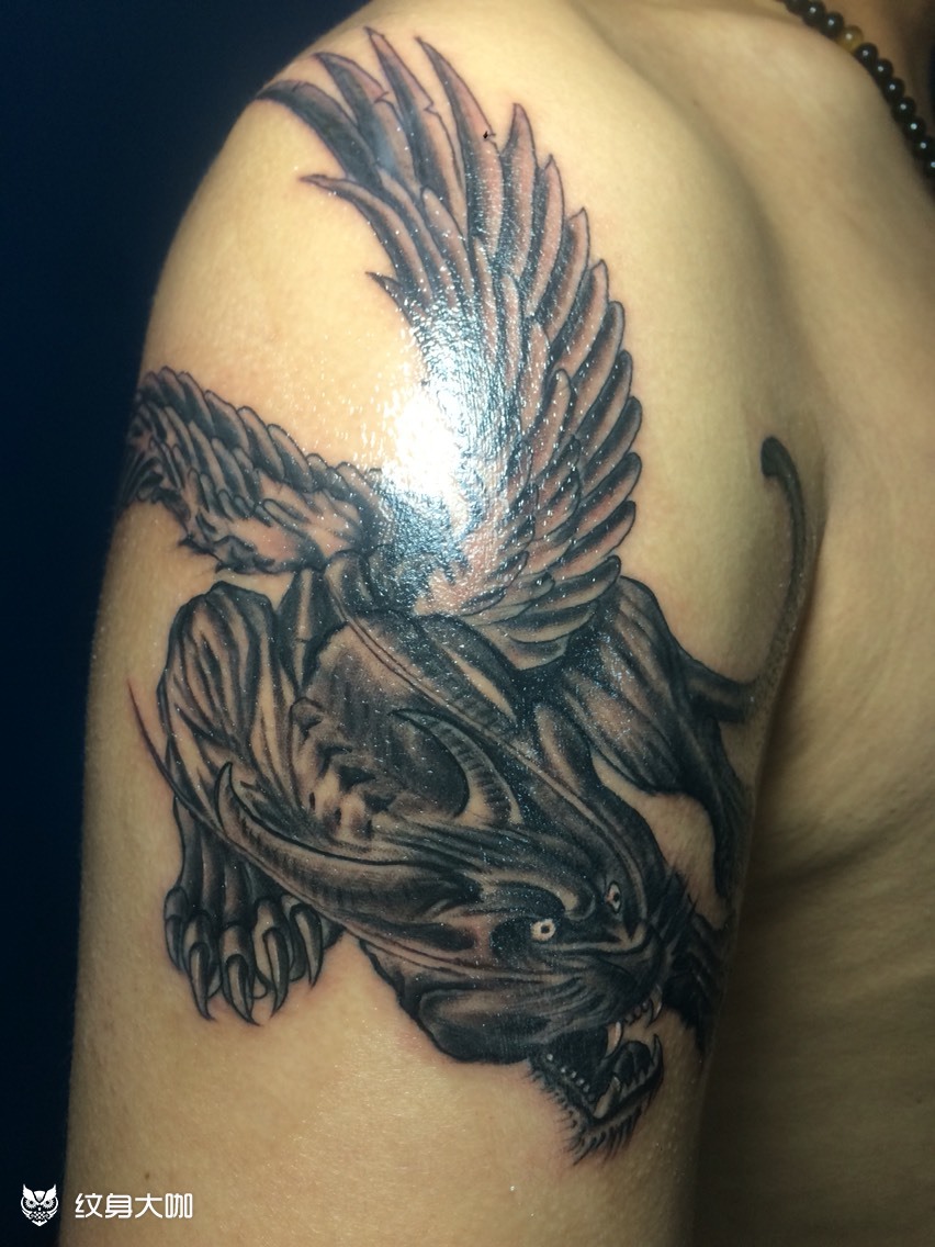 穷奇_纹身图案手稿图片_蓝-刺青 纹身工作室的纹身作品集