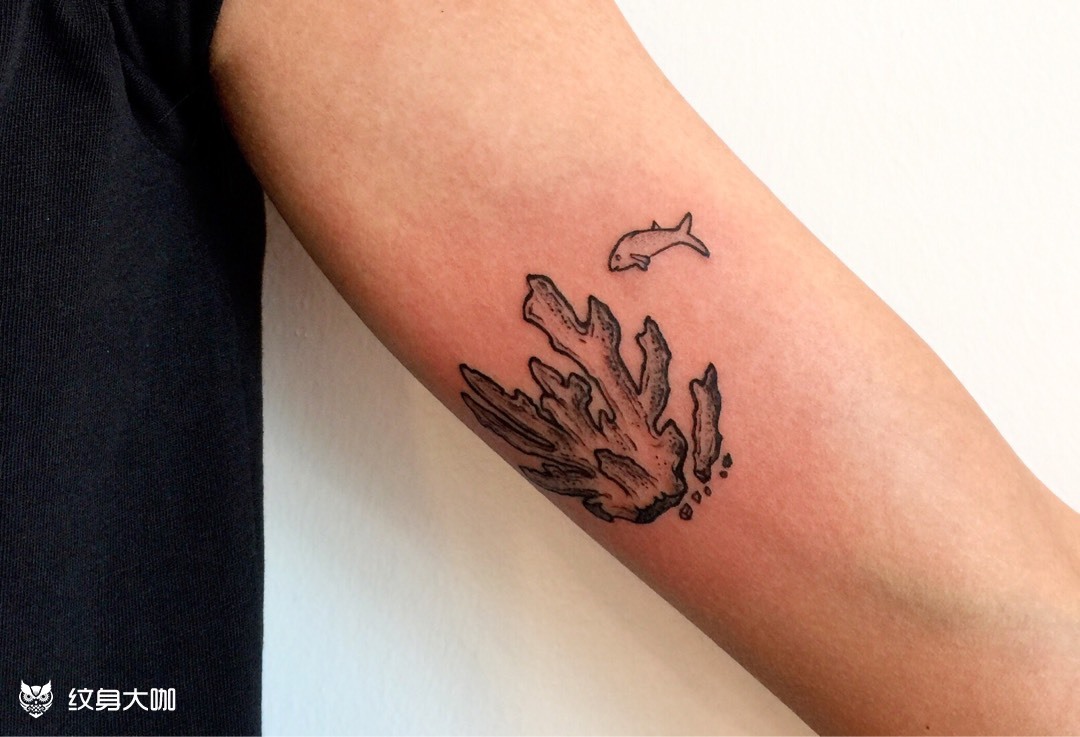 珊瑚英文_纹身图案手稿图片_freya 叶子的纹身作品集