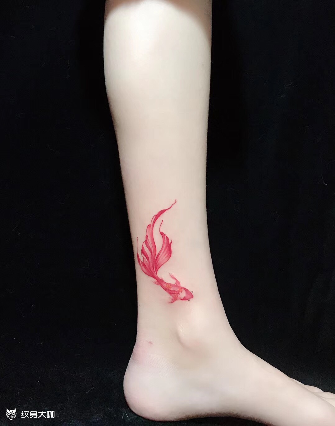 金鱼_纹身图案手稿图片_w-万的纹身作品集