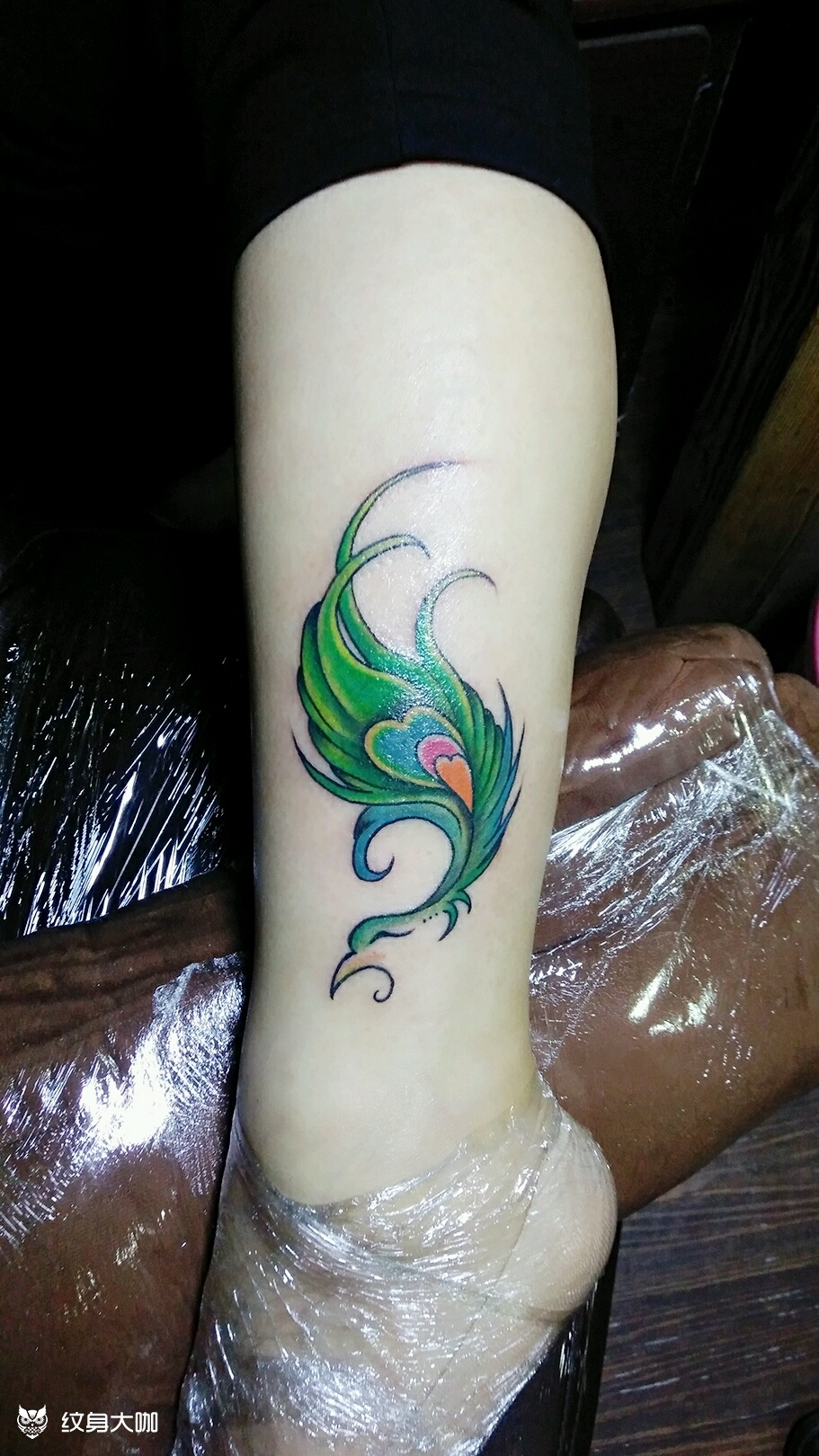 凤凰羽毛_纹身图案手稿图片_王金发的纹身作品集