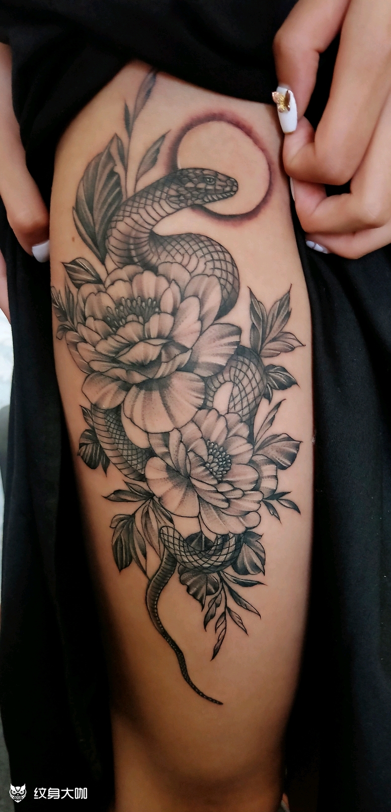 女生大腿蛇盘牡丹_纹身图案手稿图片_吴星的纹身作品集