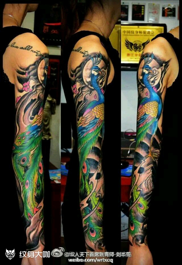 孔雀_纹身图案手稿图片_刘本高的纹身作品集