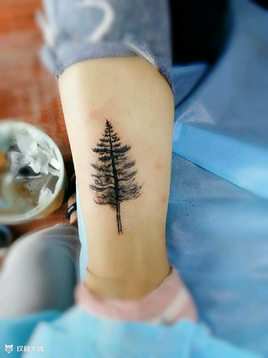 柏树_纹身图案手稿图片_阿岚的纹身作品集
