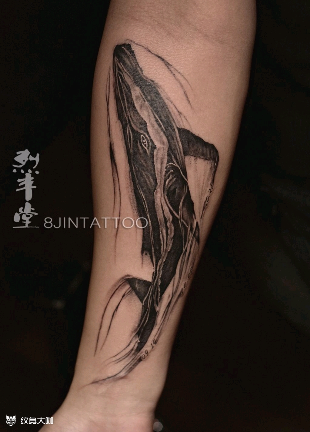 鲲_纹身图案手稿图片_8金的纹身作品集