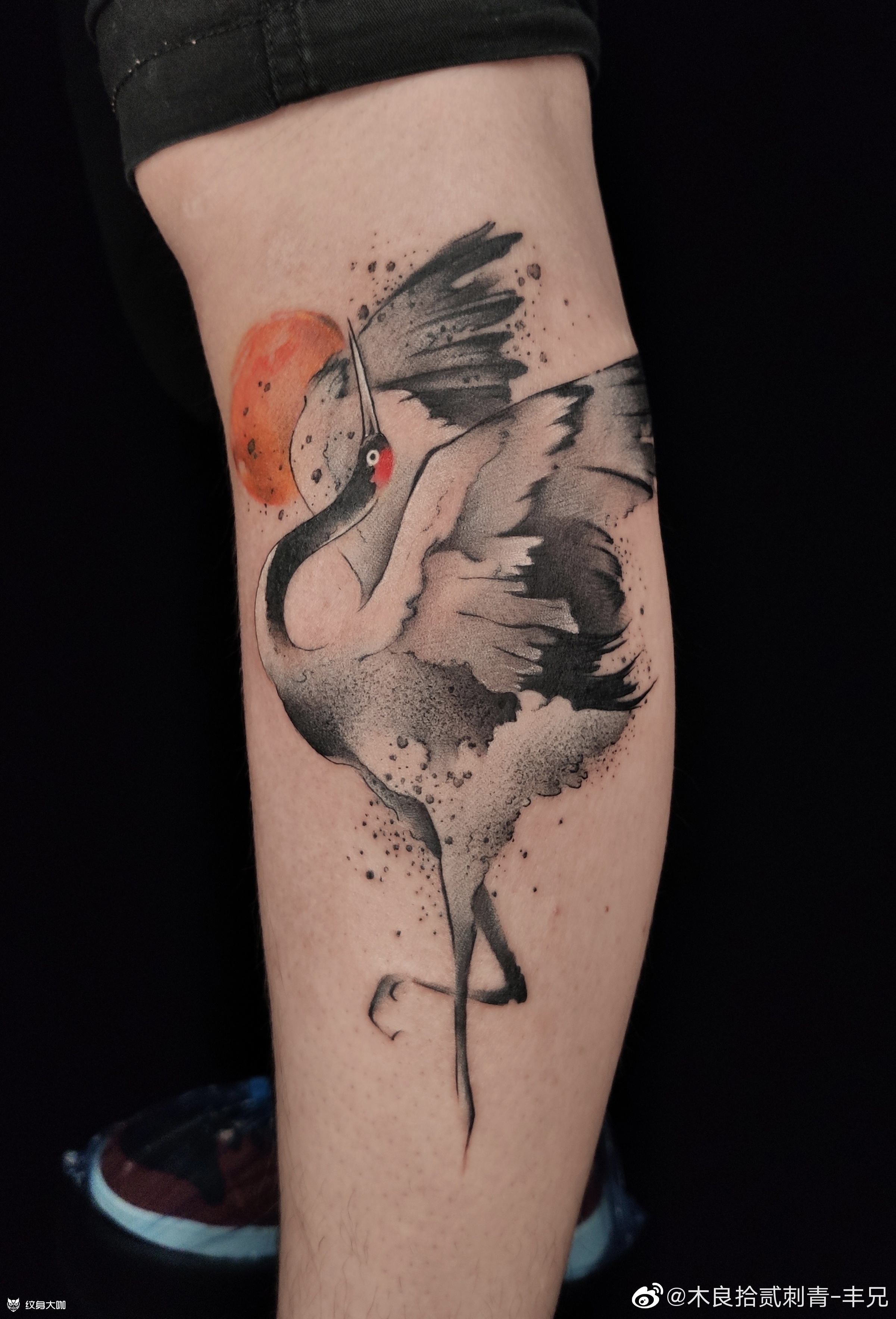 仙鹤_纹身图案手稿图片_丰兄的纹身作品集