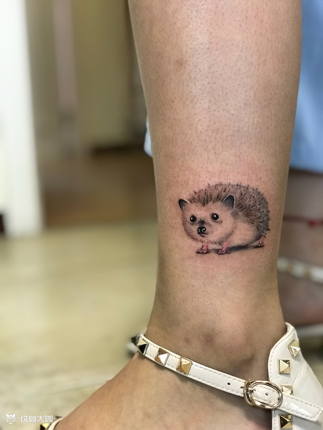 刺猬_纹身图案手稿图片_肖洋的纹身作品集