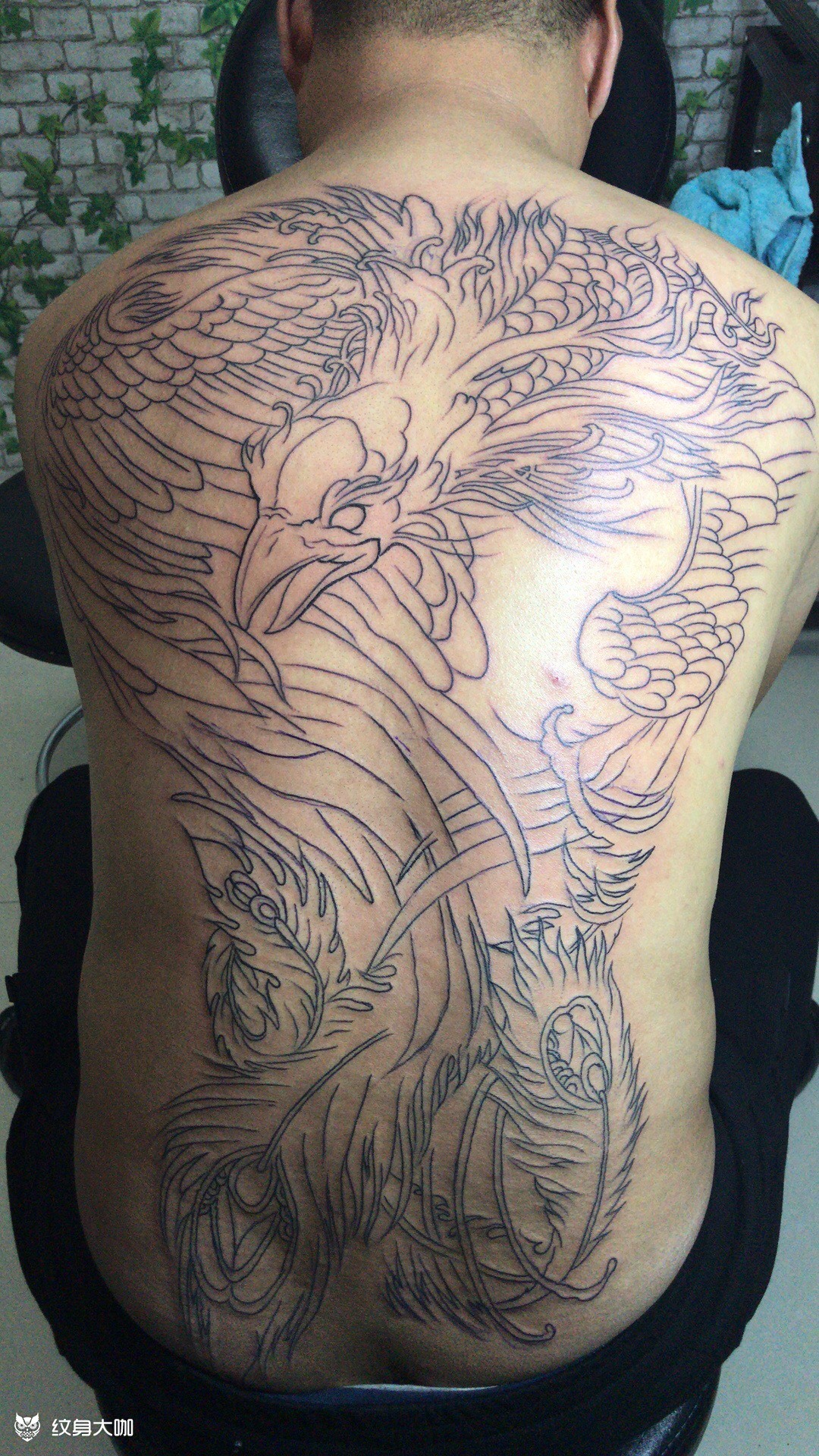 朱雀割线未完成_纹身图案手稿图片_宝哥的纹身作品集