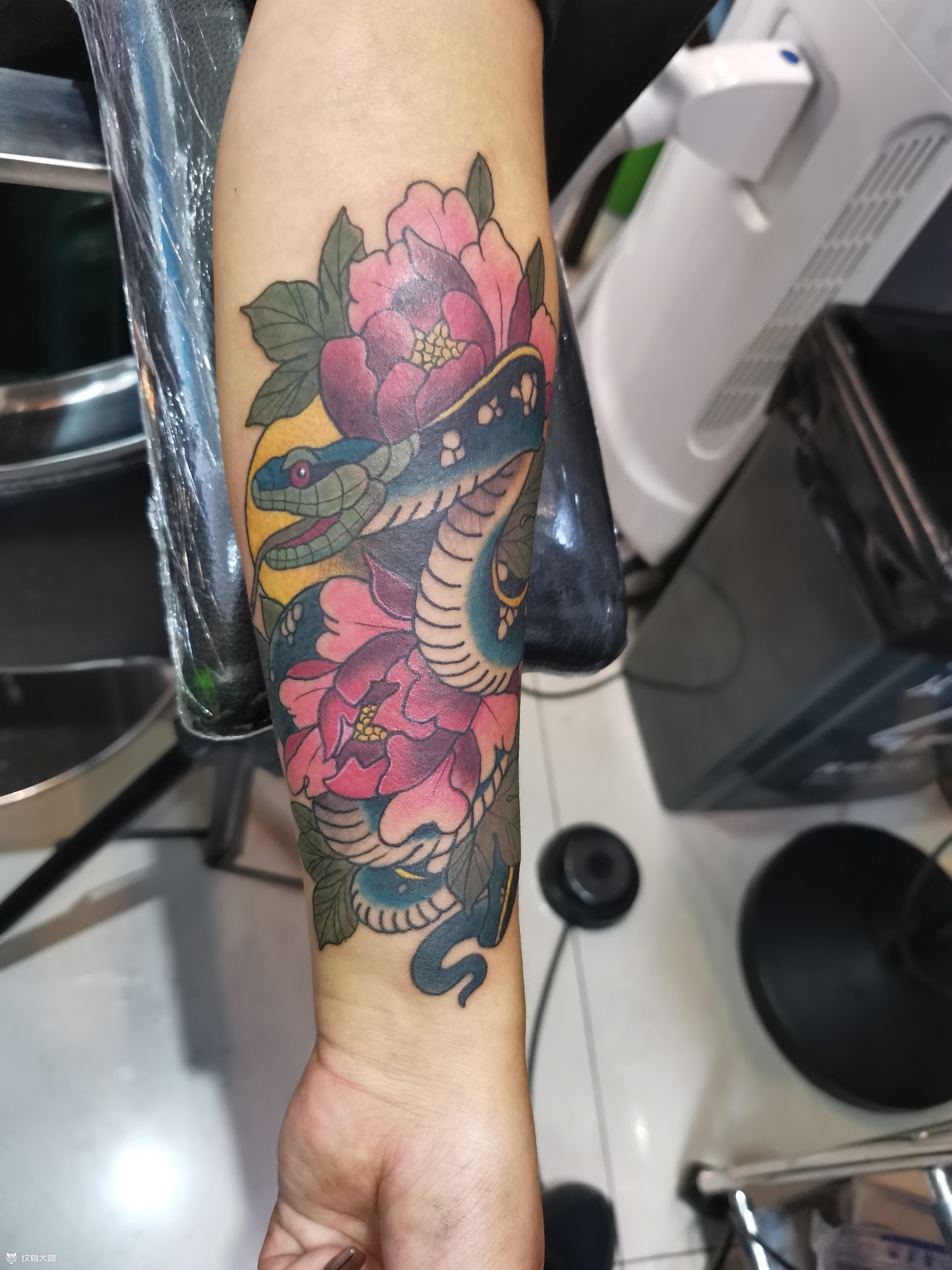 蟒戏牡丹_纹身吧社区 - 纹身大咖