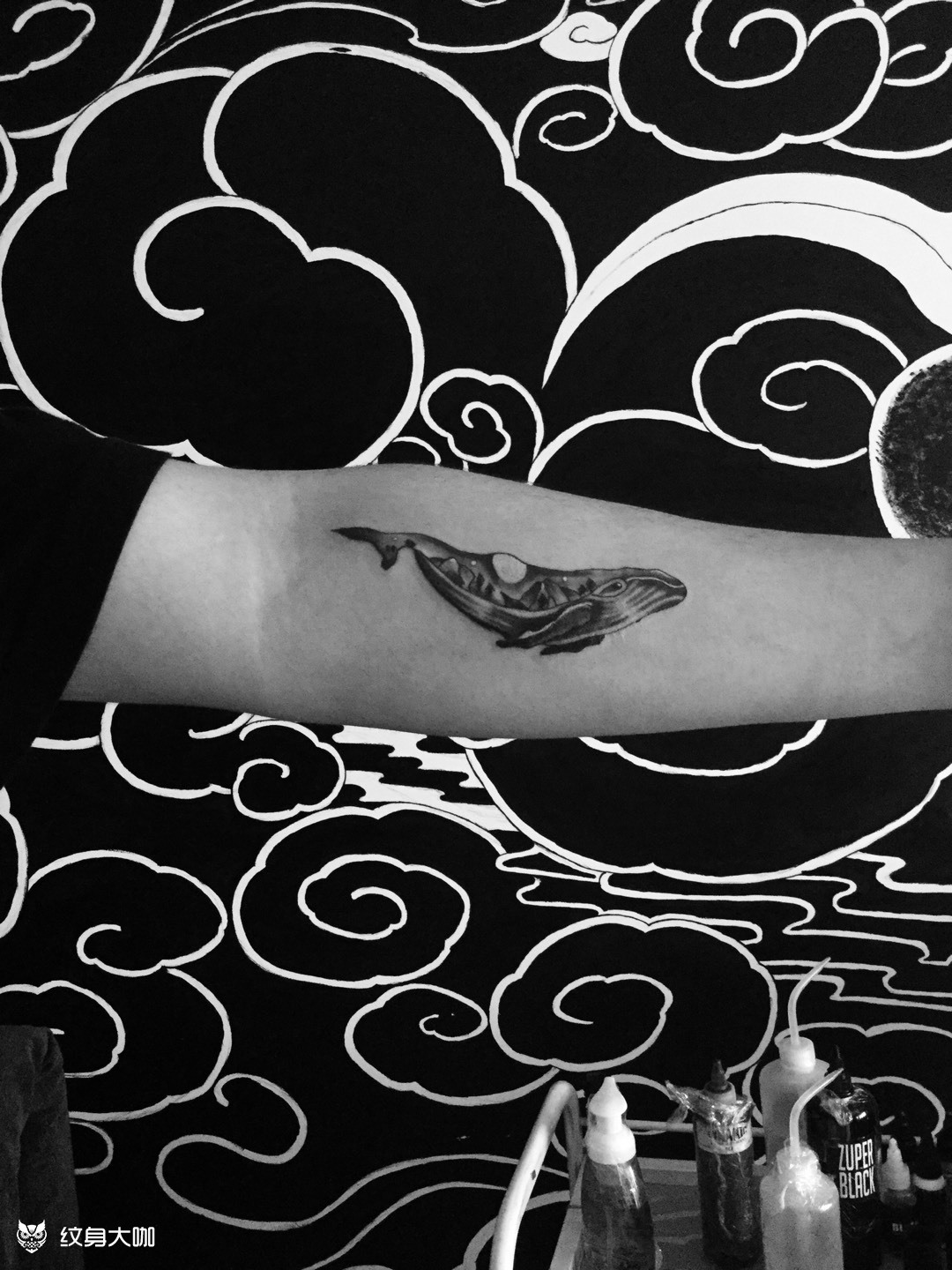 小臂鲸鱼_纹身图案手稿图片_悟沁的纹身作品集