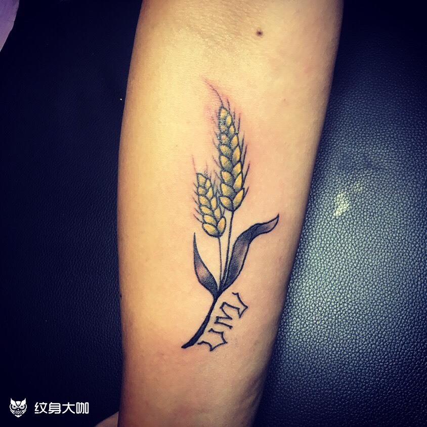 麦穗by房子_纹身图案手稿图片_lrtattoo 的纹身作品集