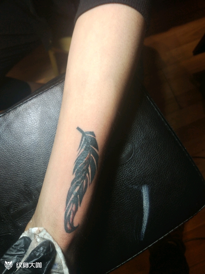 羽毛遮盖_纹身图案手稿图片_陈.的纹身作品集