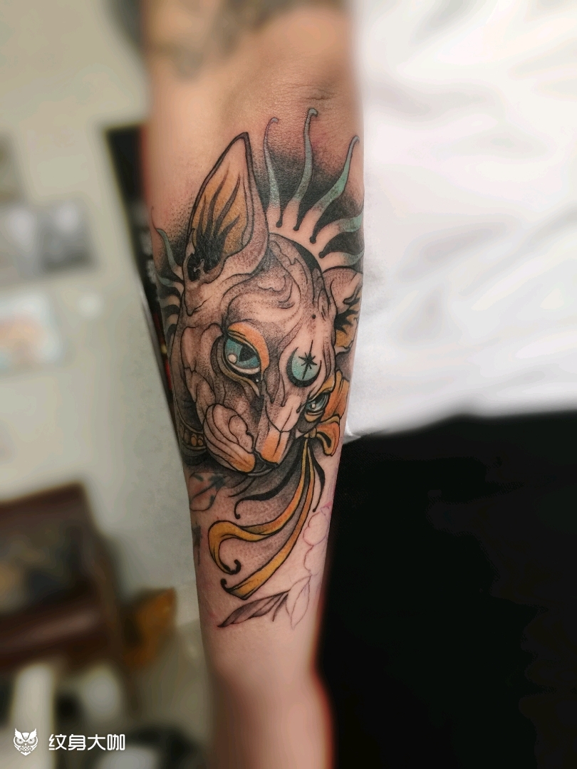 斯芬克斯猫_纹身图案手稿图片_纹绮的纹身作品集