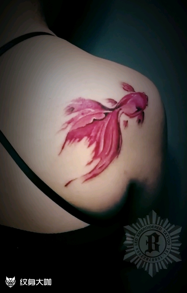 肩胛骨小金鱼_纹身图案手稿图片_老白的纹身作品集
