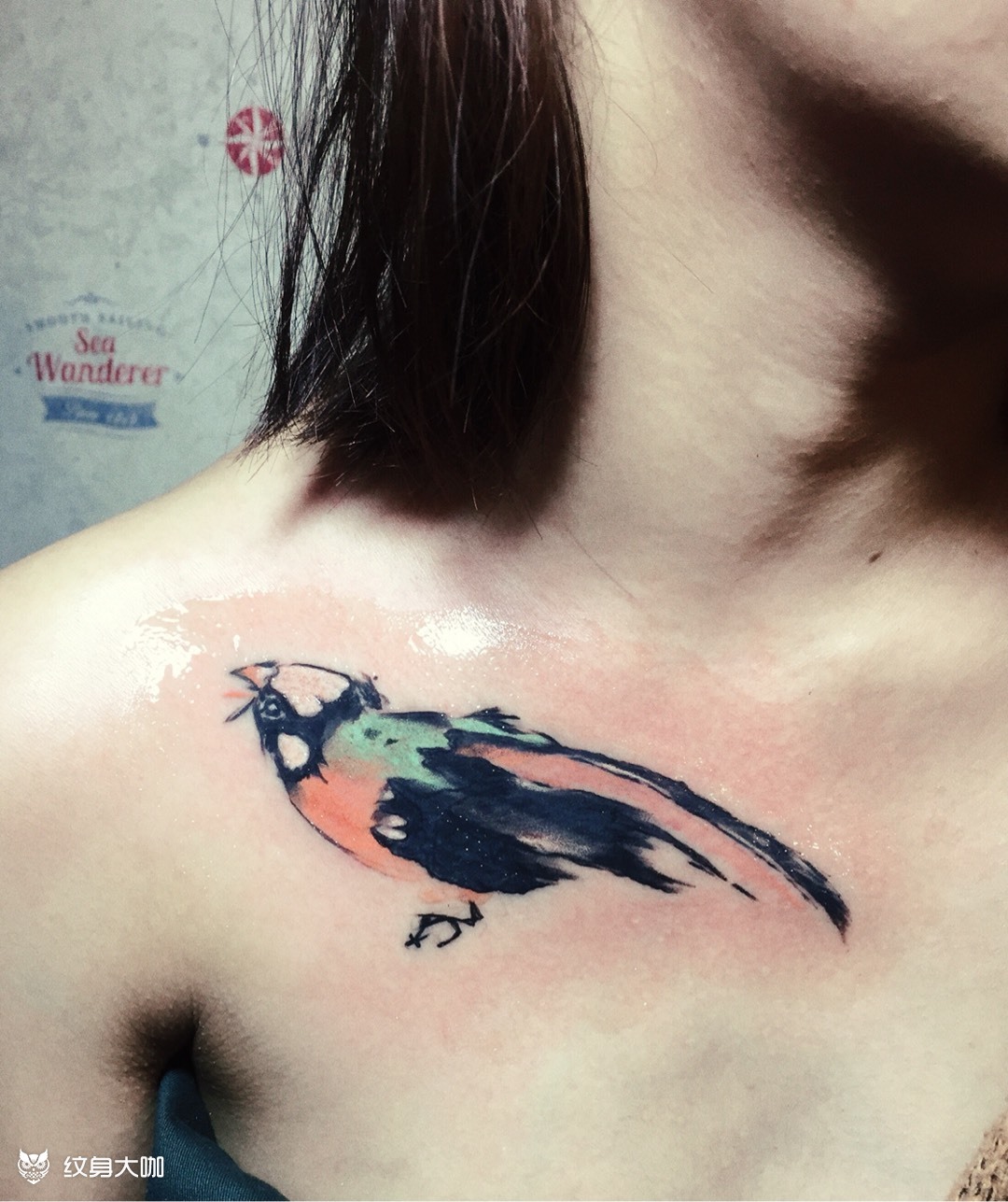 遮盖鸟_纹身图案手稿图片_苑晟的纹身作品集