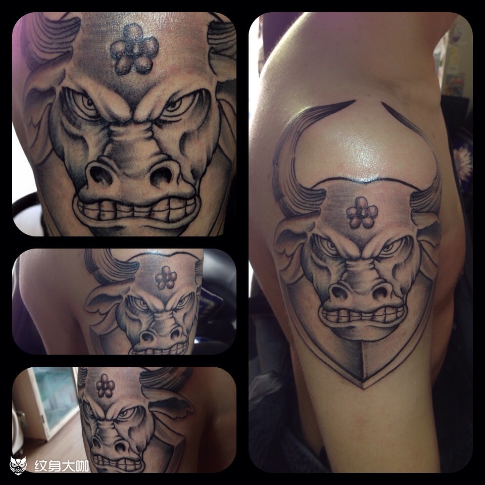 牛头98777115_纹身图案手稿图片_殷红斌的纹身作品集