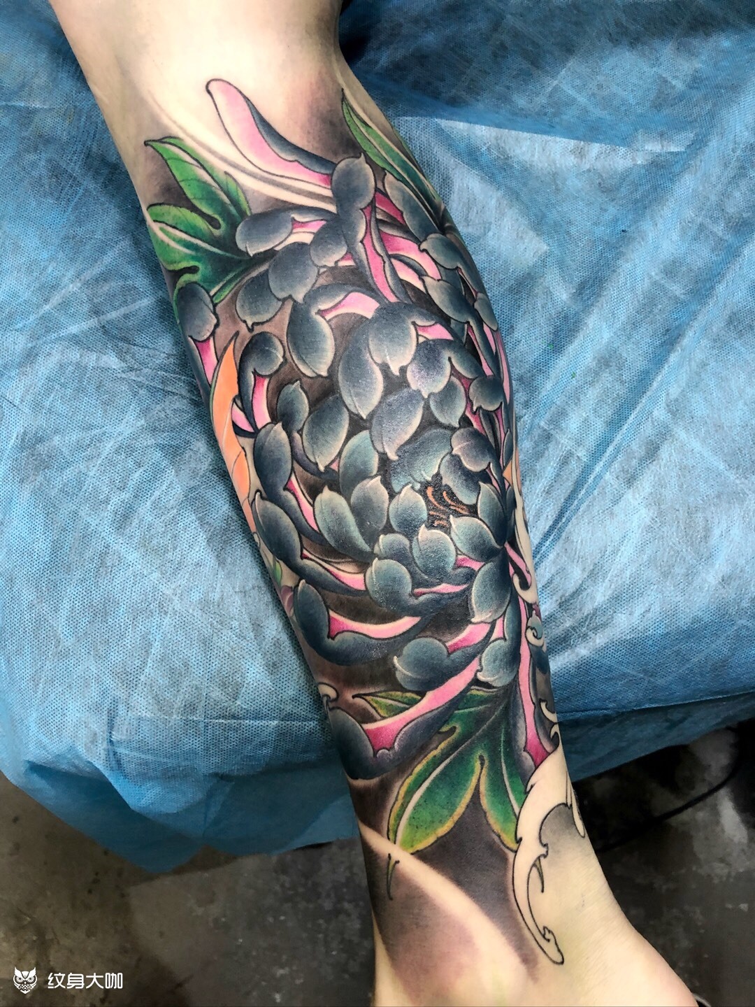 小腿彩色菊花_纹身图案手稿图片_肖峰的纹身作品集