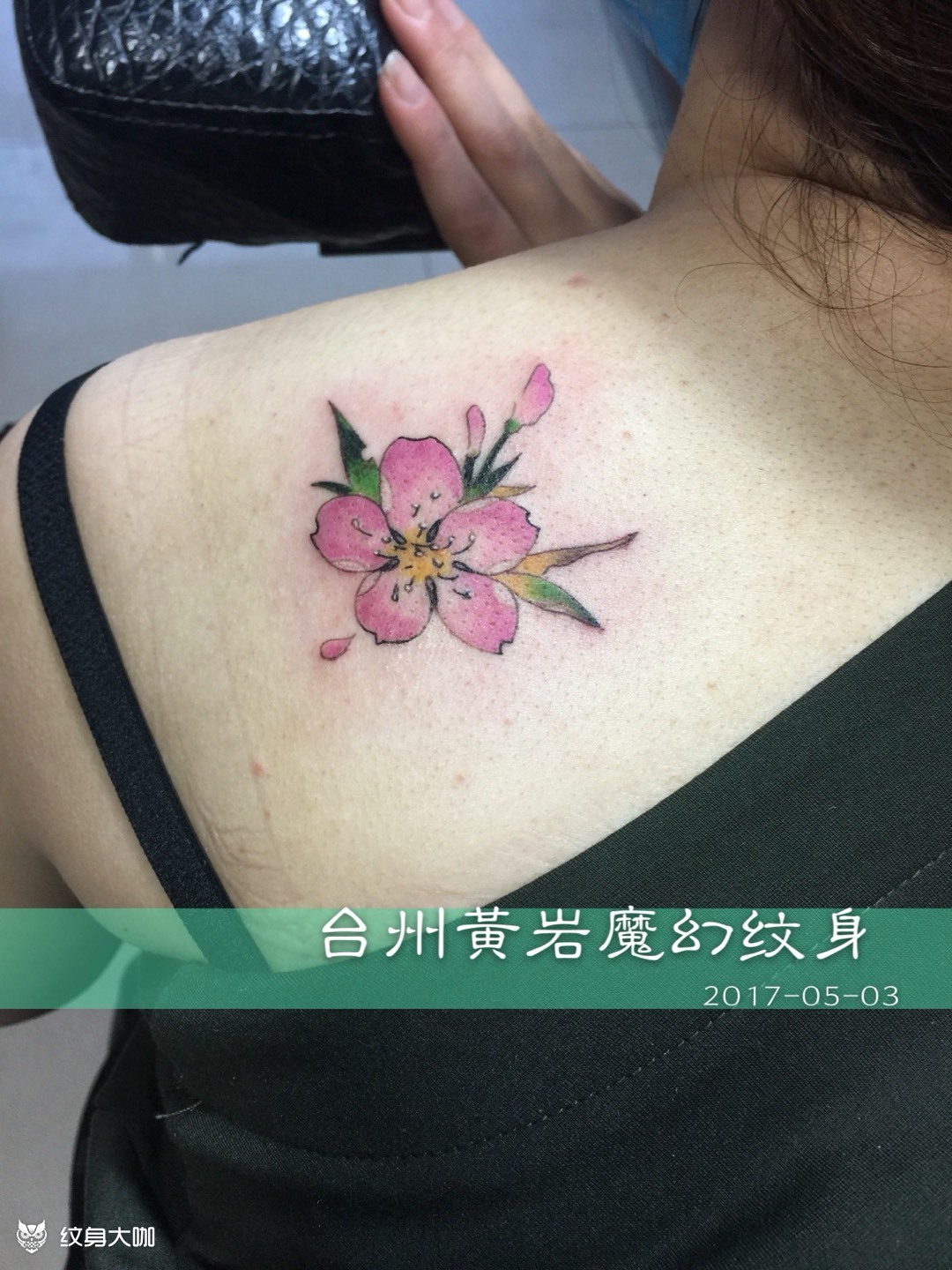 后背肩膀处樱花94完成_纹身图案手稿图片_张送的纹身作品集