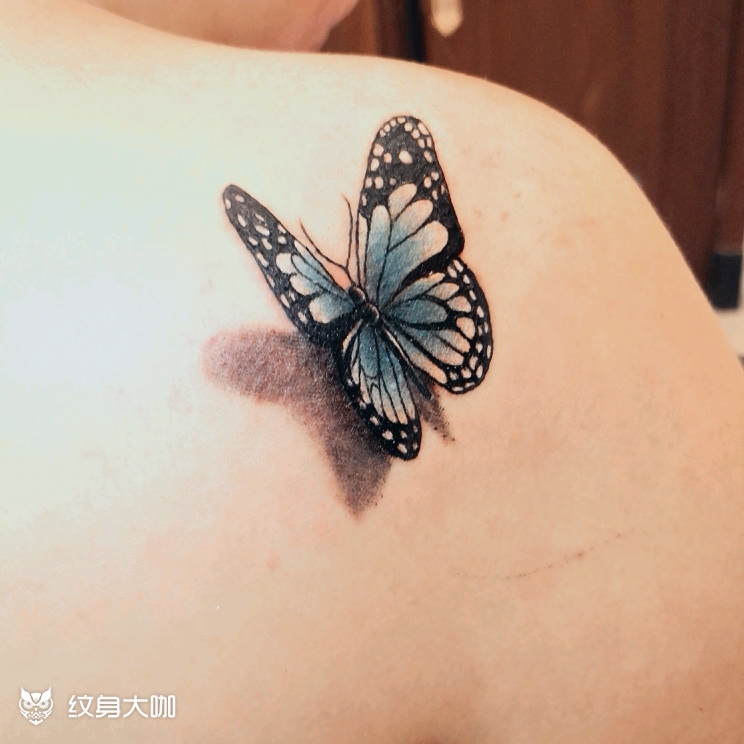 3d蝴蝶_纹身图案手稿图片_小黄人的纹身作品集