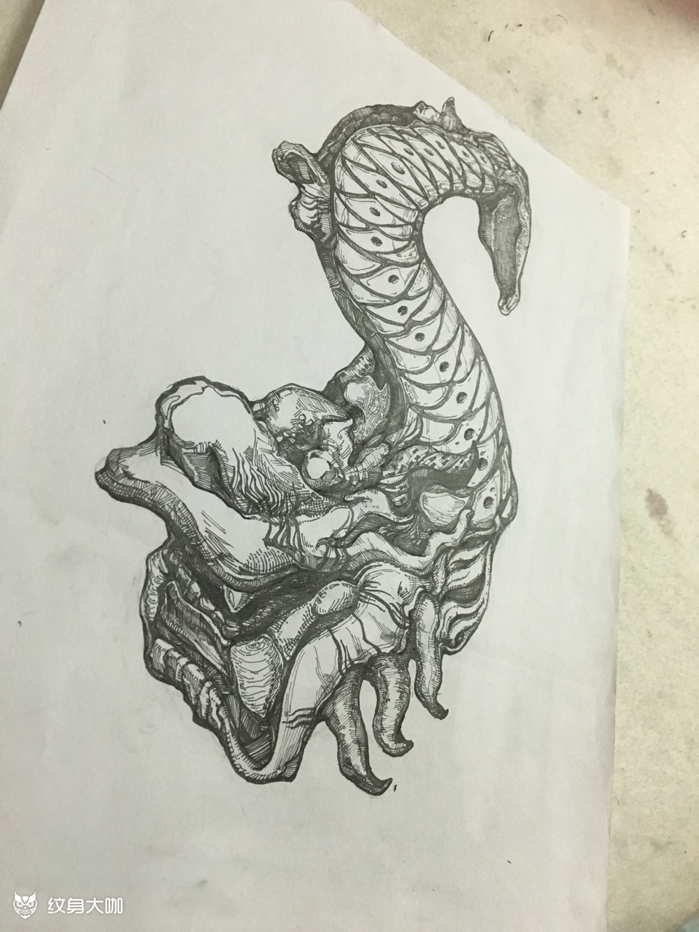 鳌鱼_纹身图案手稿图片_茗隽mj的纹身作品集