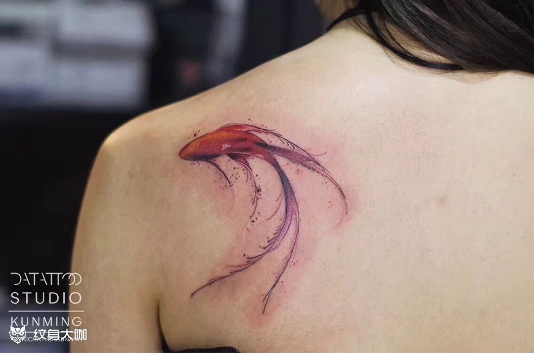 水彩鱼_纹身图案手稿图片_卷的纹身作品集