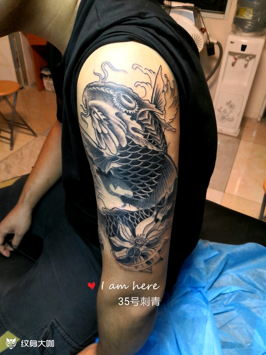 锦鲤_纹身图案手稿图片_孟满的纹身作品集